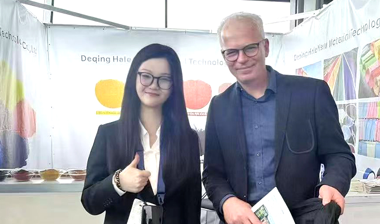 Deqing Demi Pigment Technology Co., Ltd.